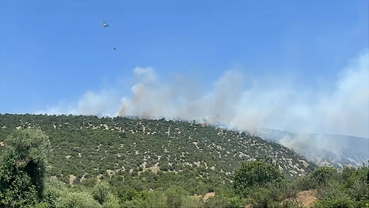 Balıkesir’de Arazi Yangınına Müdahale